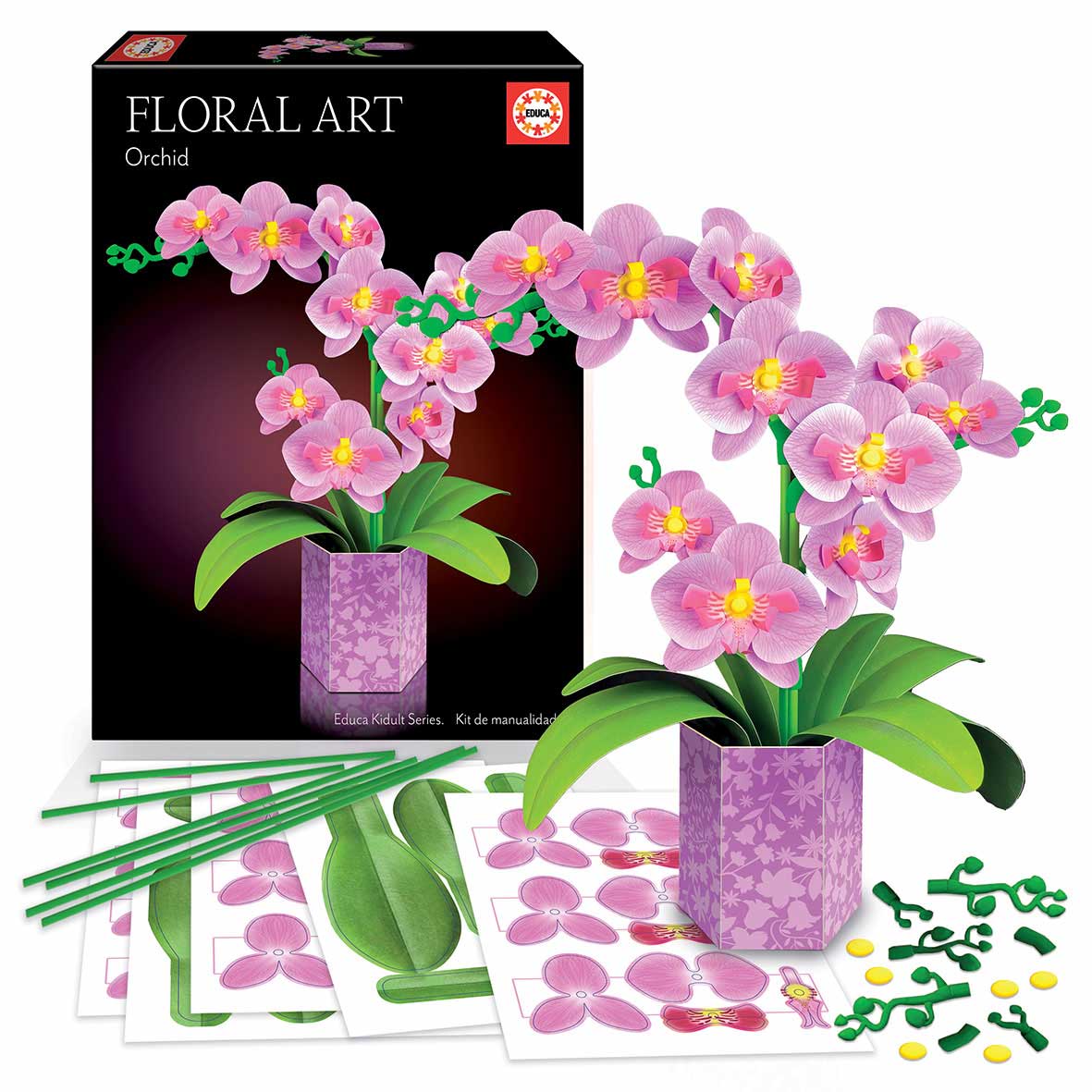 Arte Floral - Orquidea Educa 20135 ( Imagem 2 de 2 ) - Preview