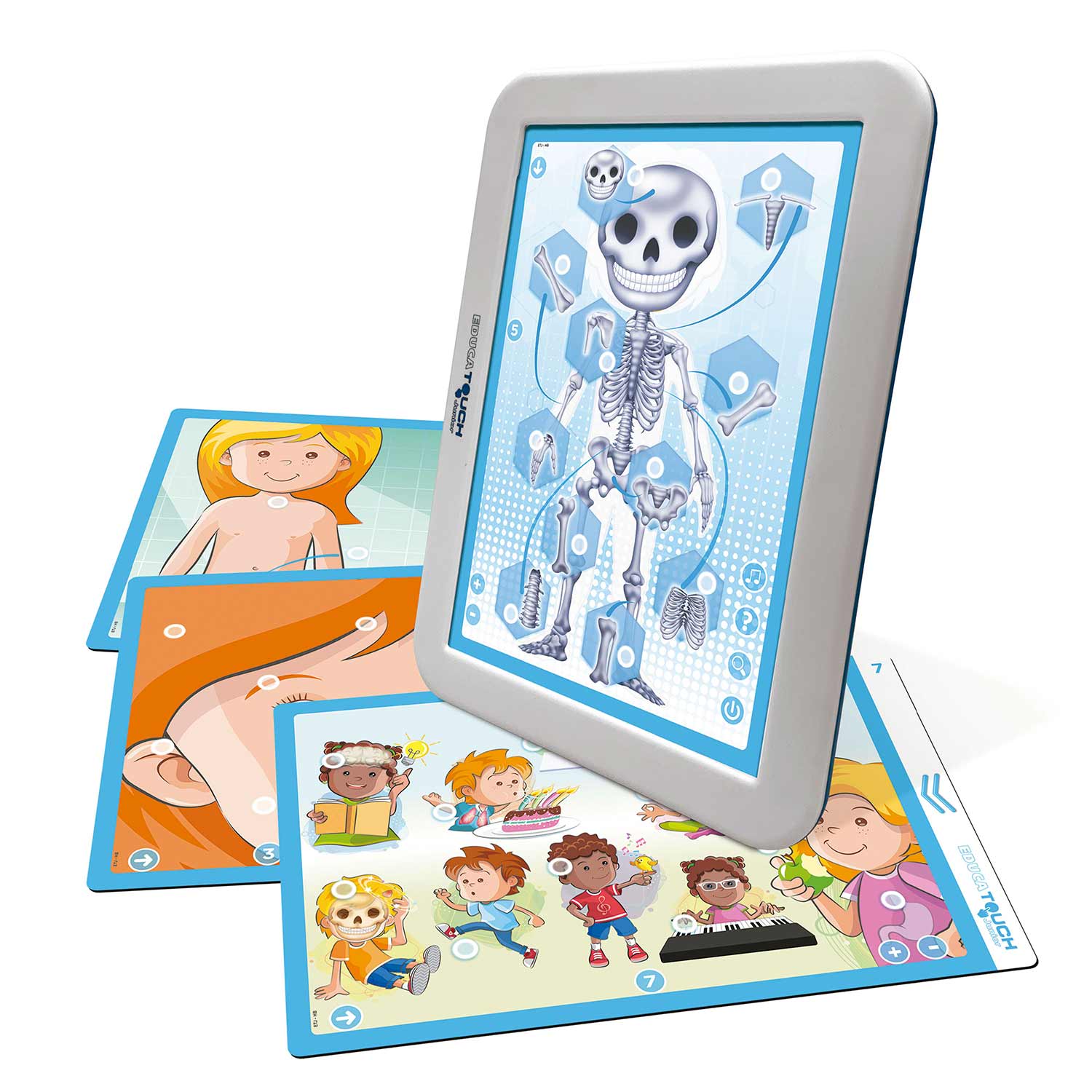Educa Touch Junior O Corpo Humano ( Imagem 2 de 4 ) - Preview