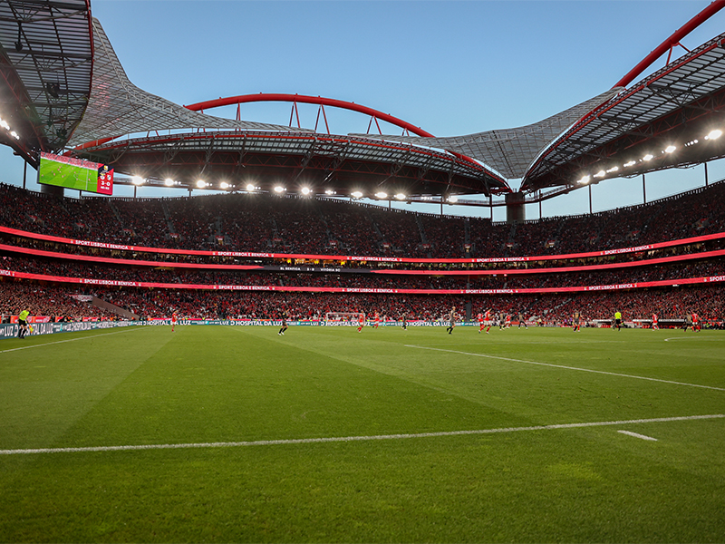 Pack Presente Odisseias - SL Benfica - Tour ao Estádio & Museu + Cachecóis ( Imagem 4 de 4 ) - Preview