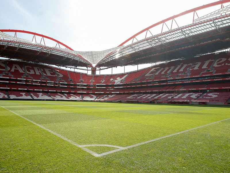 Odyssey Gift Pack - SL Benfica - Stadium & Museum + Luz by Chakall ( Imagem 4 de 4 ) - Preview