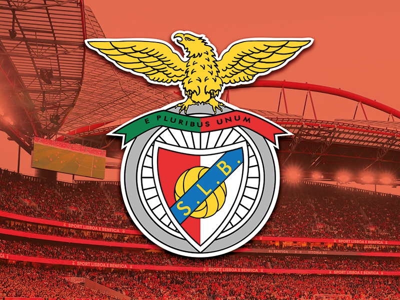 Pack Presente Odisseias - Sport Lisboa e Benfica | Bilhetes para Jogo + Cachecóis ( Imagem 3 de 4 ) - Preview