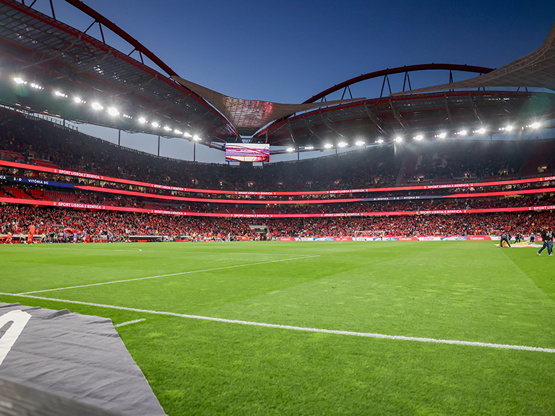 Pack Presente Odisseias - Sport Lisboa e Benfica | Bilhetes para Jogo + Cachecóis ( Imagem 4 de 4 ) - Preview