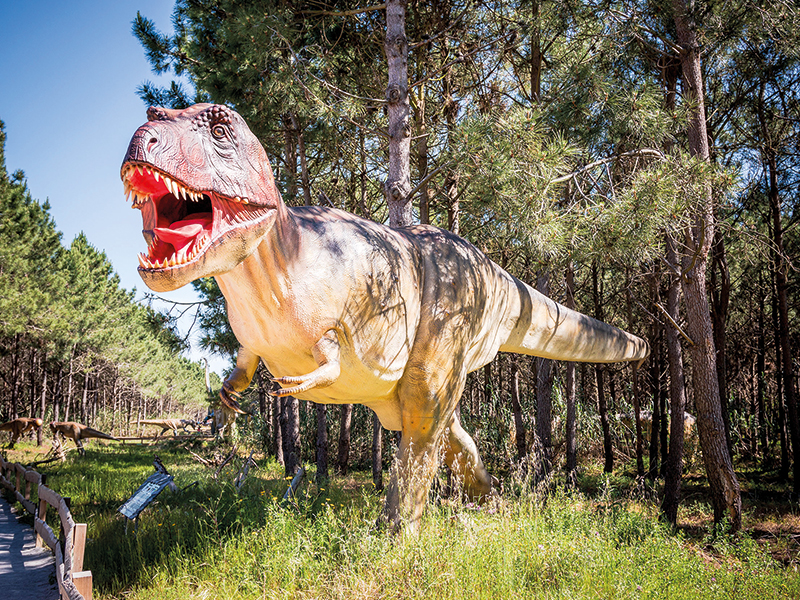 Pack Presente Odisseias - Dino Parque da Lourinhã | 2 Bilhetes para 1 adulto e 1 criança ( Imagem 4 de 4 ) - Preview