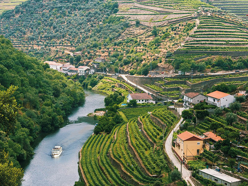 Pack Presente Odisseias - Cruzeiros no Rio Douro | Experiência para 2 pessoas ( Imagem 4 de 4 ) - Preview