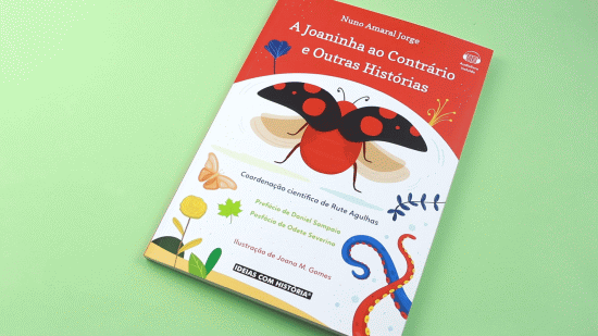 A Joaninha ao Contrário e outras histórias ( Imagem 2 de 3 ) - Preview