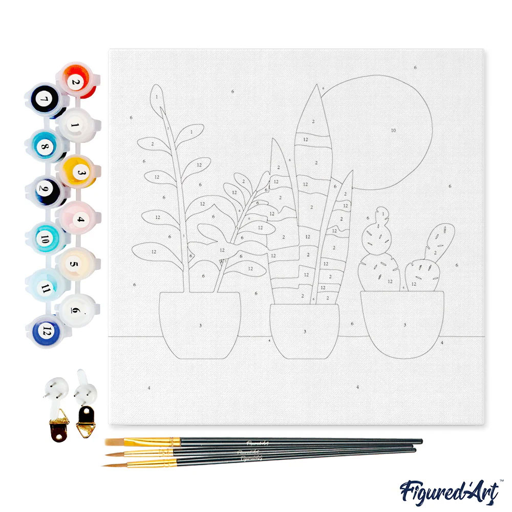 Pintar Por Números Figured'Art Com Moldura 20X20Cm Tres Vasos De Plantas Sfa027-Y ( Imagem 2 de 4 ) - Preview