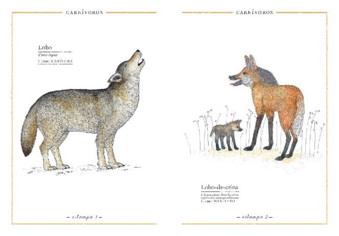 Maravilhas da Natureza ( Imagem 2 de 3 ) - Preview