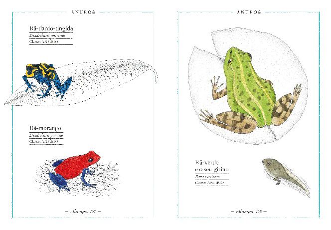 Maravilhas da Natureza ( Imagem 3 de 3 ) - Preview
