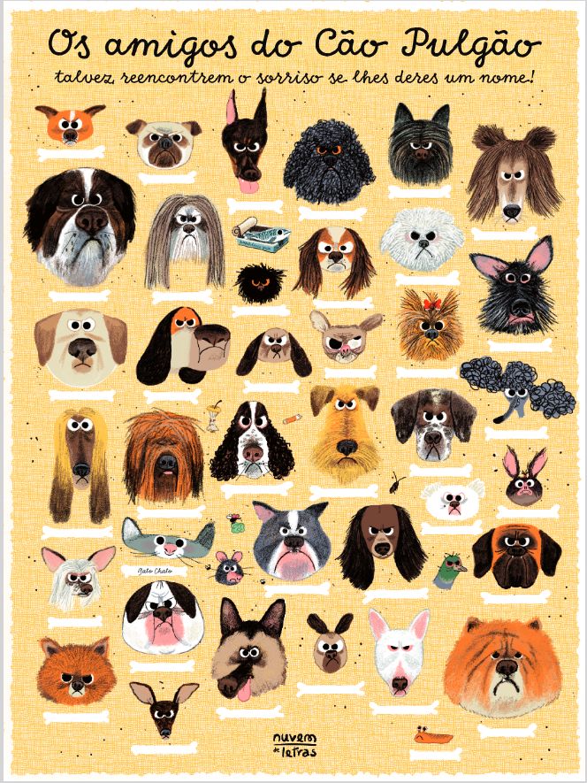 Cão Pulgão ( Imagem 2 de 2 ) - Preview