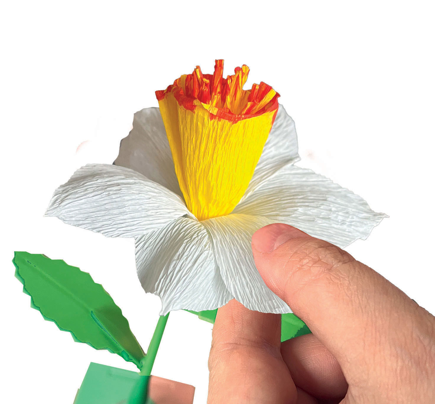 Cria As Tuas Flores Clementoni Idea 18867 ( Imagem 4 de 4 ) - Preview