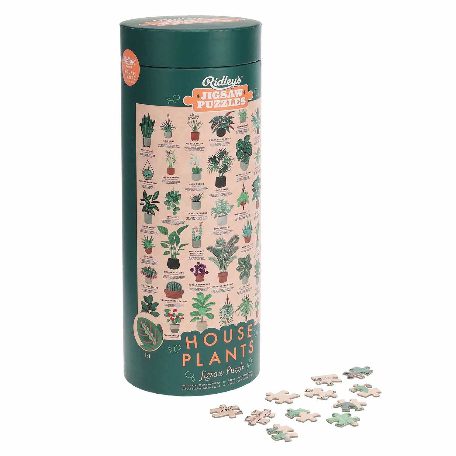 Puzzle Ridley'S 1000 Pecas House Plants Ridjig058 ( Imagem 2 de 3 ) - Preview