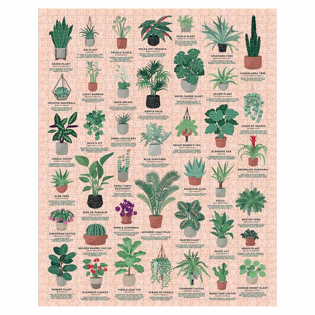 Puzzle Ridley'S 1000 Pecas House Plants Ridjig058 ( Imagem 3 de 3 ) - Preview