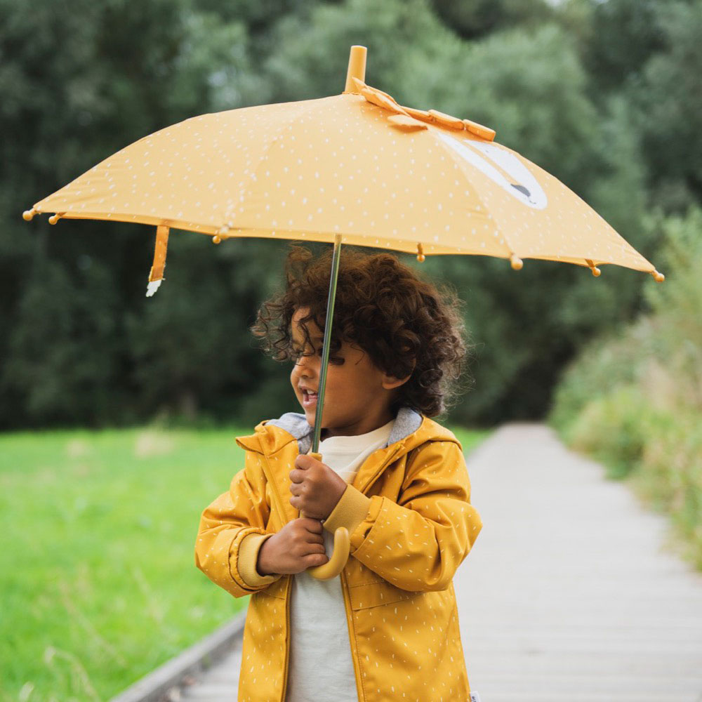 Guarda-Chuva Manual Mr. Lion Trixie Trx.38-213 ( Imagem 2 de 4 ) - Preview