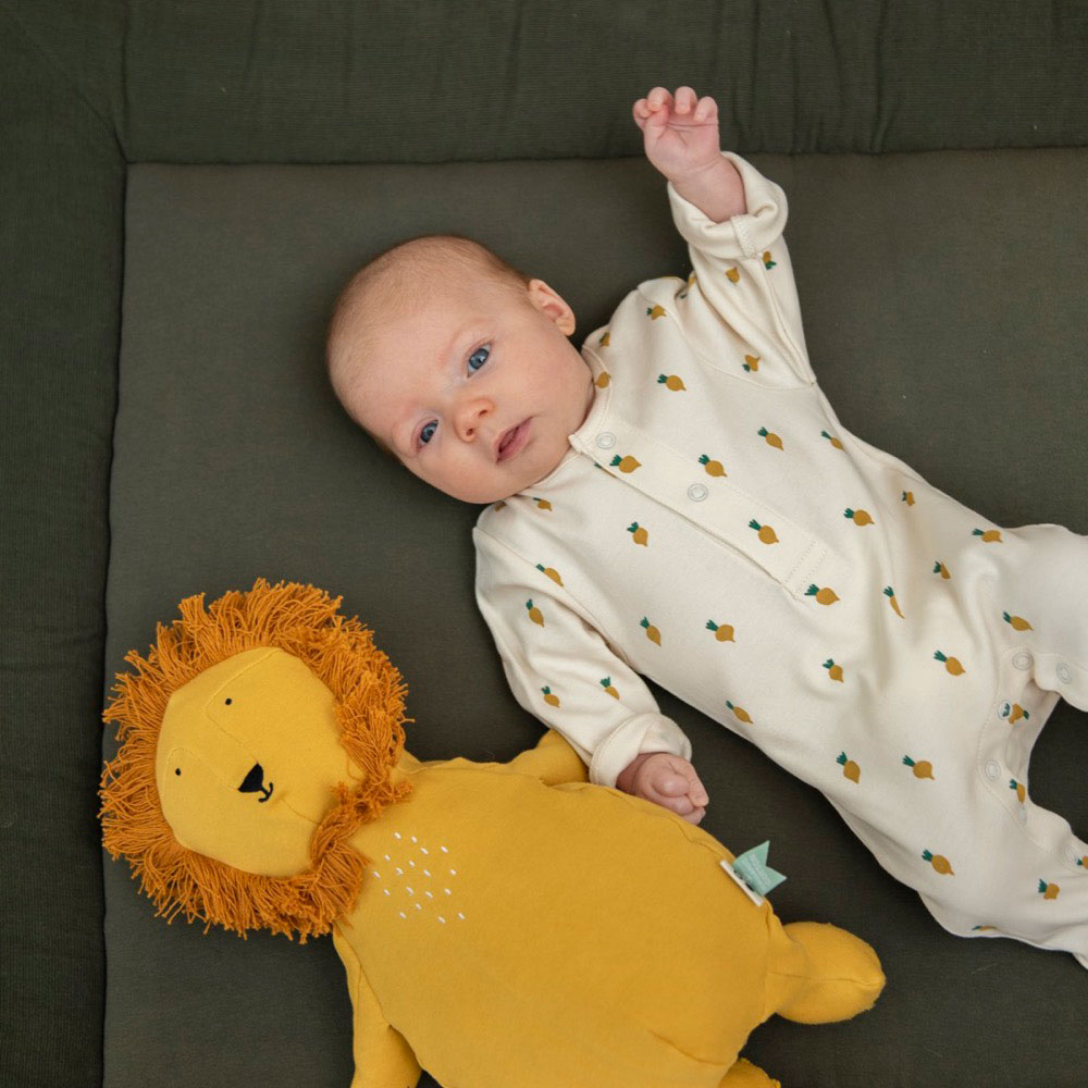 Peluche Mr. Lion 23Cm Trixie Trx.25-509 ( Imagem 4 de 4 ) - Preview