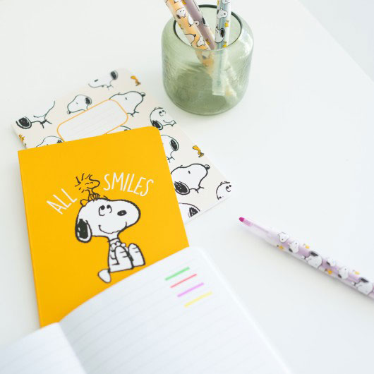 Conjunto Escolar Snoopy C/14 Pecas Setp001 ( Imagem 4 de 4 ) - Preview