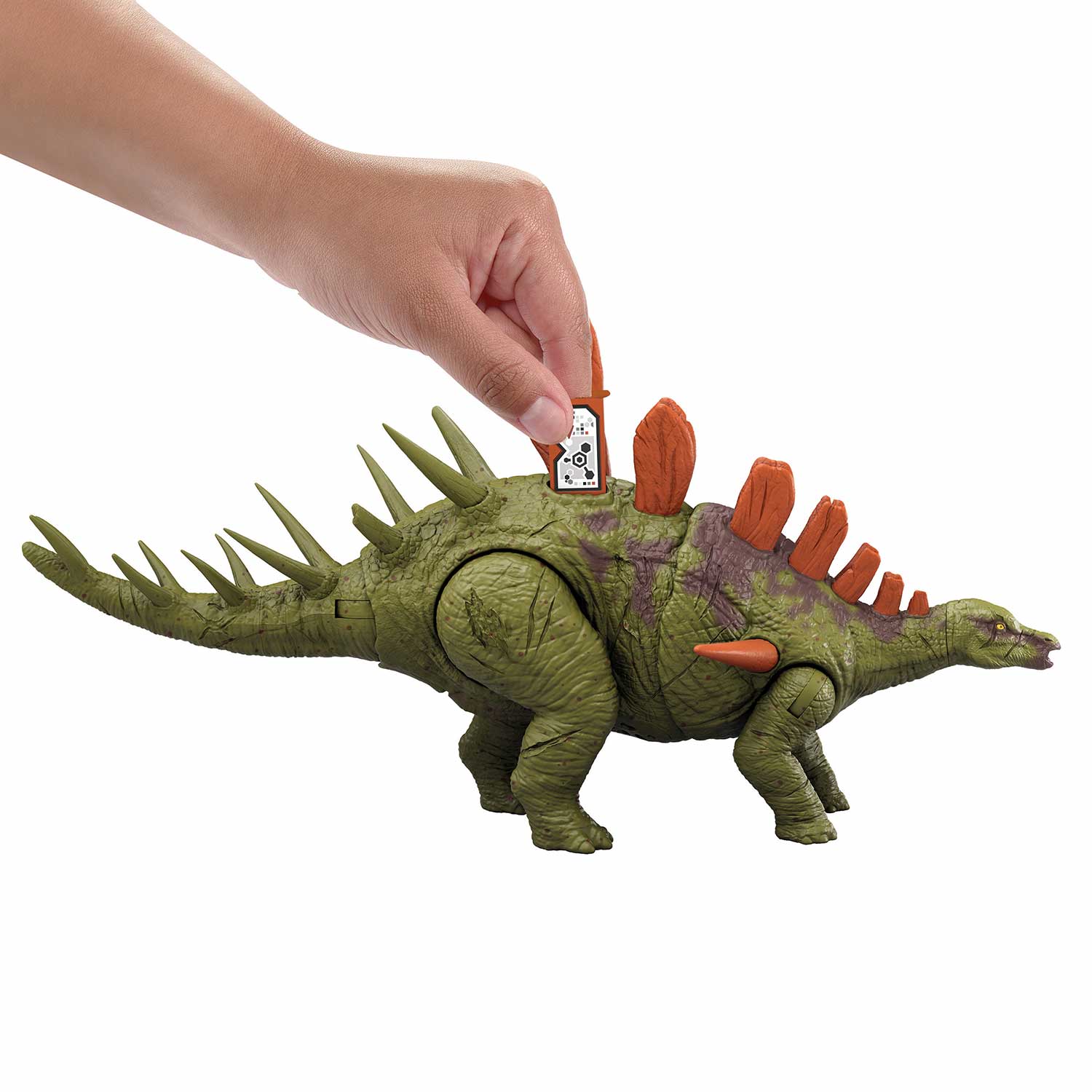 Jurassic World Rugido Selvagem Kentrosaurus 28Cm Mattel Hlp14/Jcl65 ( Imagem 3 de 4 ) - Preview