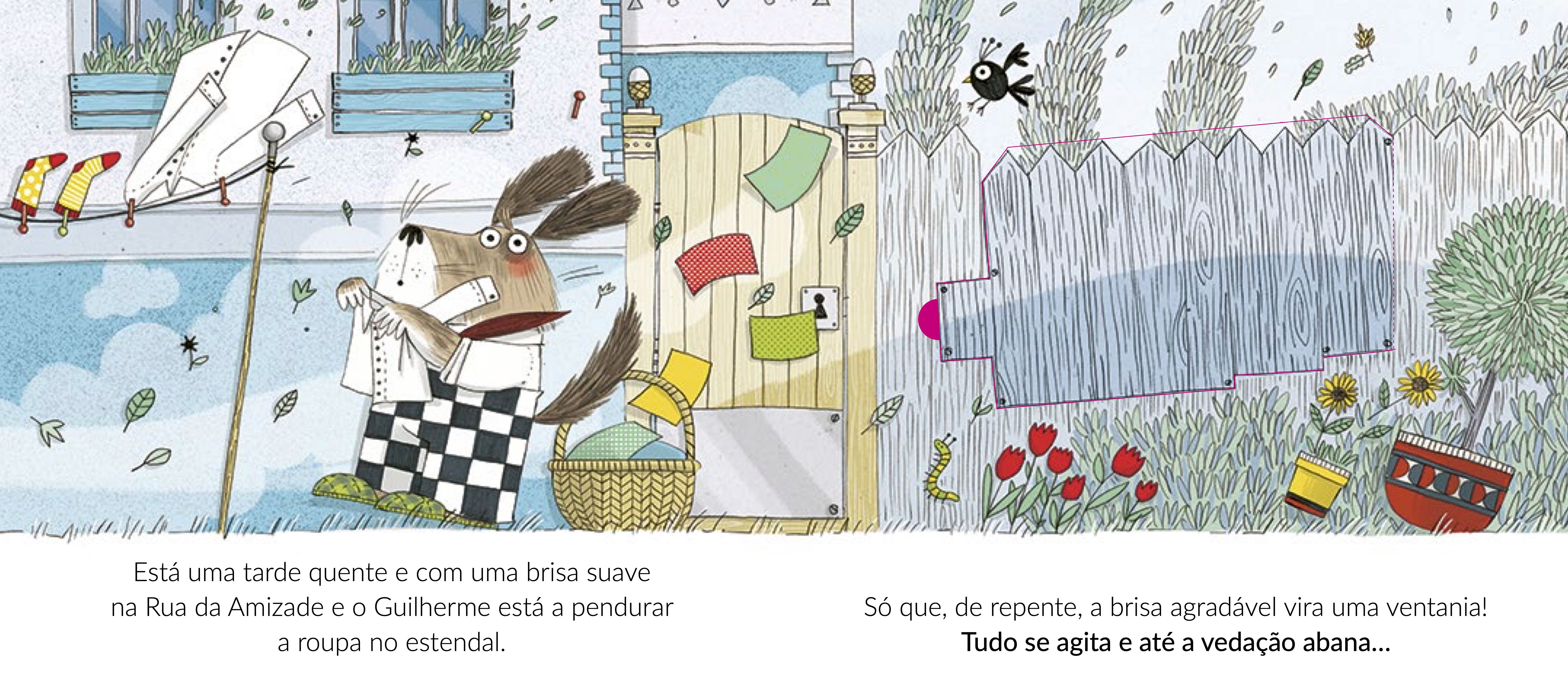 Voou a Roupa do Estendal ( Imagem 2 de 2 ) - Preview