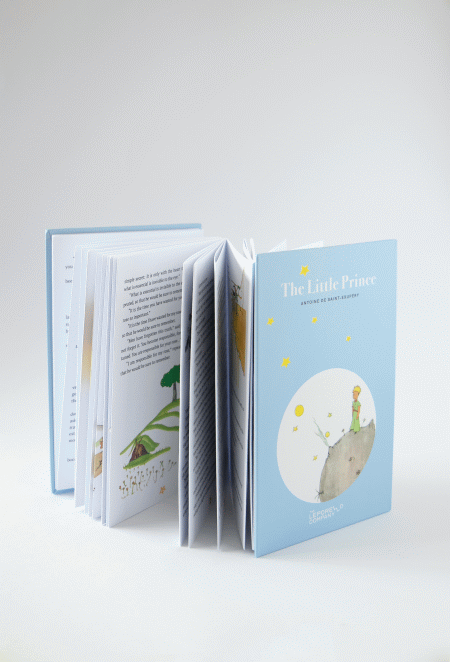 The Little Prince ( Imagem 4 de 6 ) - Preview