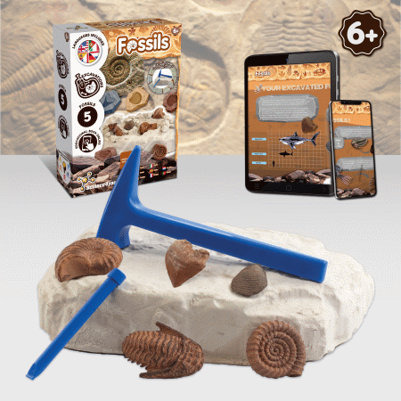 Science4you Escavações Fósseis  ( Imagem 2 de 3 ) - Preview
