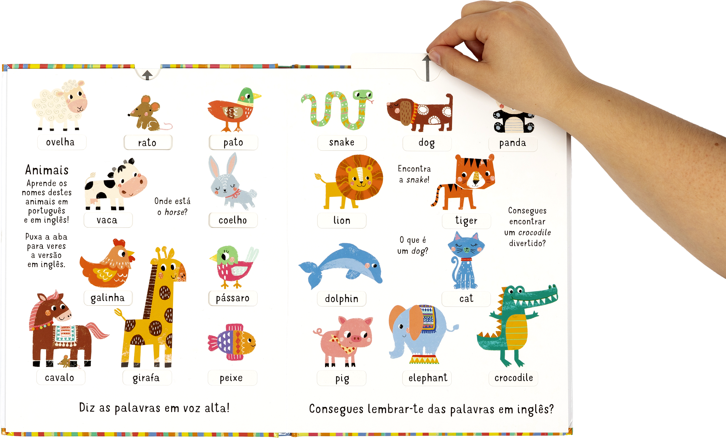100 Palavras - Português - Inglês ( Imagem 2 de 2 ) - Preview