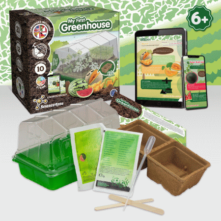 Science4you A minha Primeira Estufa ( Imagem 4 de 4 ) - Preview