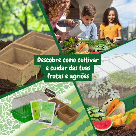 Science4you A minha Primeira Estufa ( Imagem 3 de 4 ) - Preview