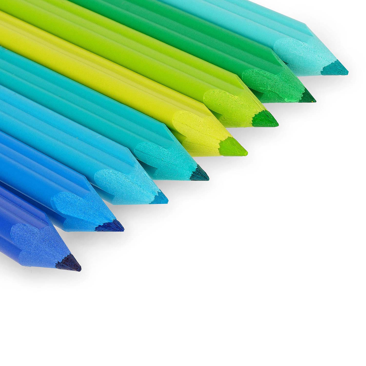 Colored Pencils - Bear ( Imagem 4 de 4 ) - Preview