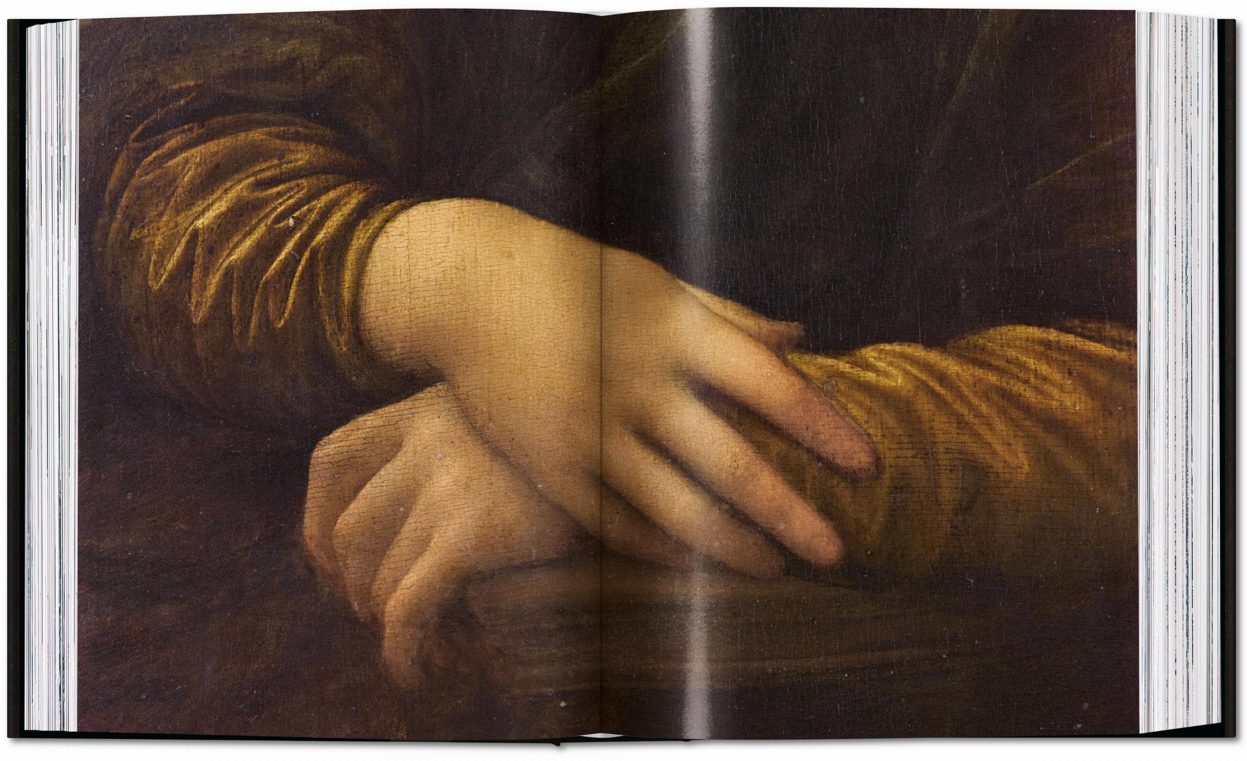 Leonardo - Obra Completa de Pintura e Desenho ( Imagem 5 de 6 ) - Preview