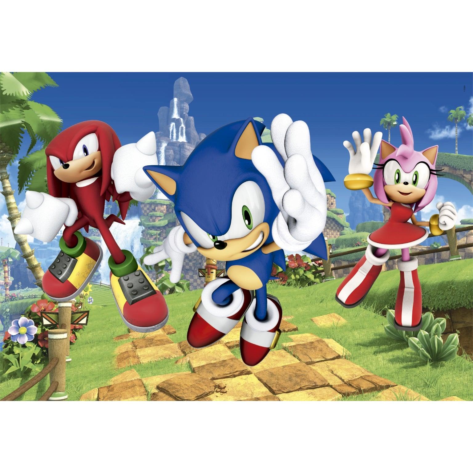 Puzzle Clementoni 3X48 Pecas Sonic 25280 ( Imagem 2 de 4 ) - Preview