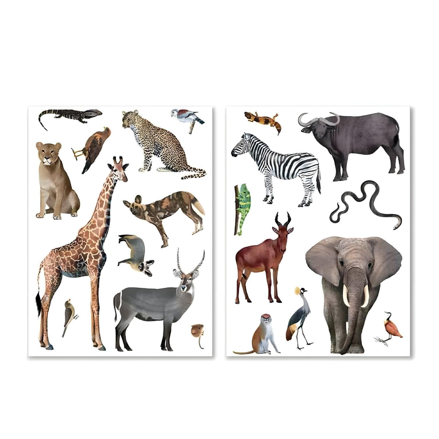 Animais da Savana - 50 Autocolantes ( Imagem 3 de 4 ) - Preview