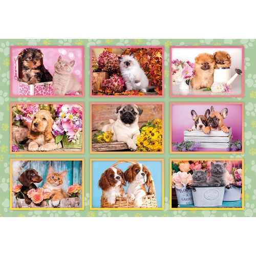 Puzzle Clementoni 180 Peças Super Puppies Collage ( Imagem 2 de 2 ) - Preview