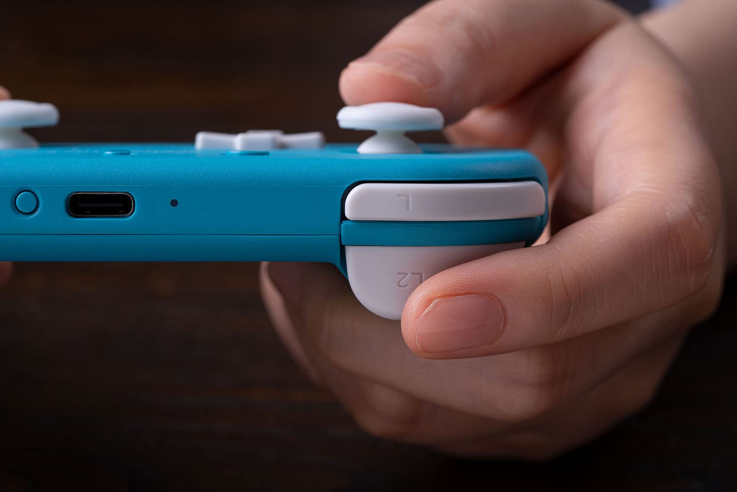 8BitDo Lite 2 Bluetooth Gamepad Switch Controller, Switch Lite, Android/Raspberry Pi ( Imagem 3 de 4 ) - Preview