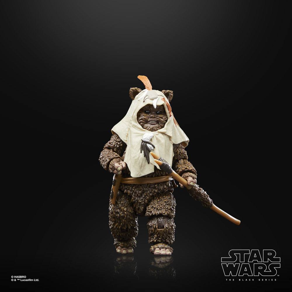 Action-Figure Star Wars: Episode VI 40th Anniversary Black Series Paploo 15 cm ( Imagem 3 de 4 ) - Preview