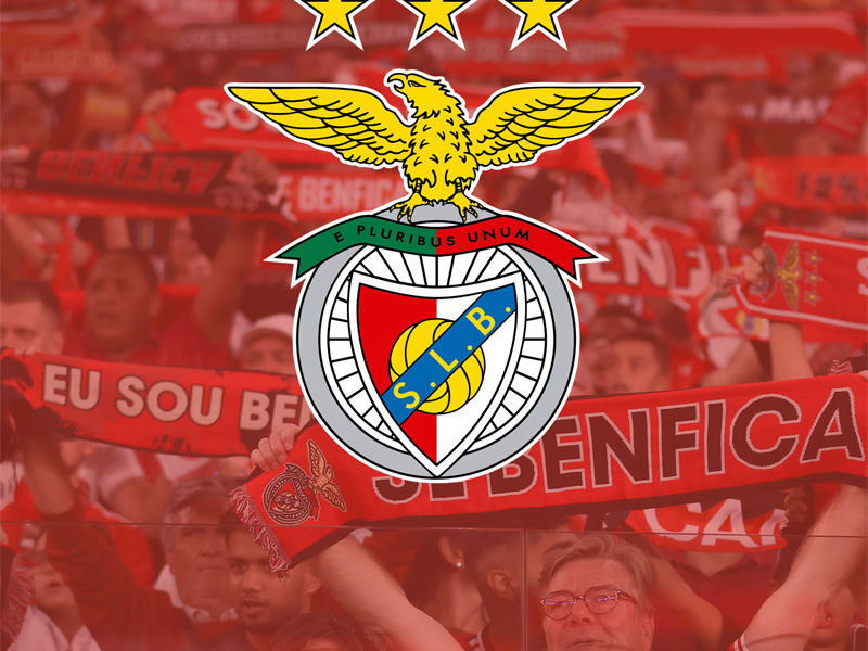 Pack Presente Odisseias - Sport Lisboa e Benfica: Bilhete e Cachecol | Experiência para 1 pessoa ( Imagem 3 de 4 ) - Preview