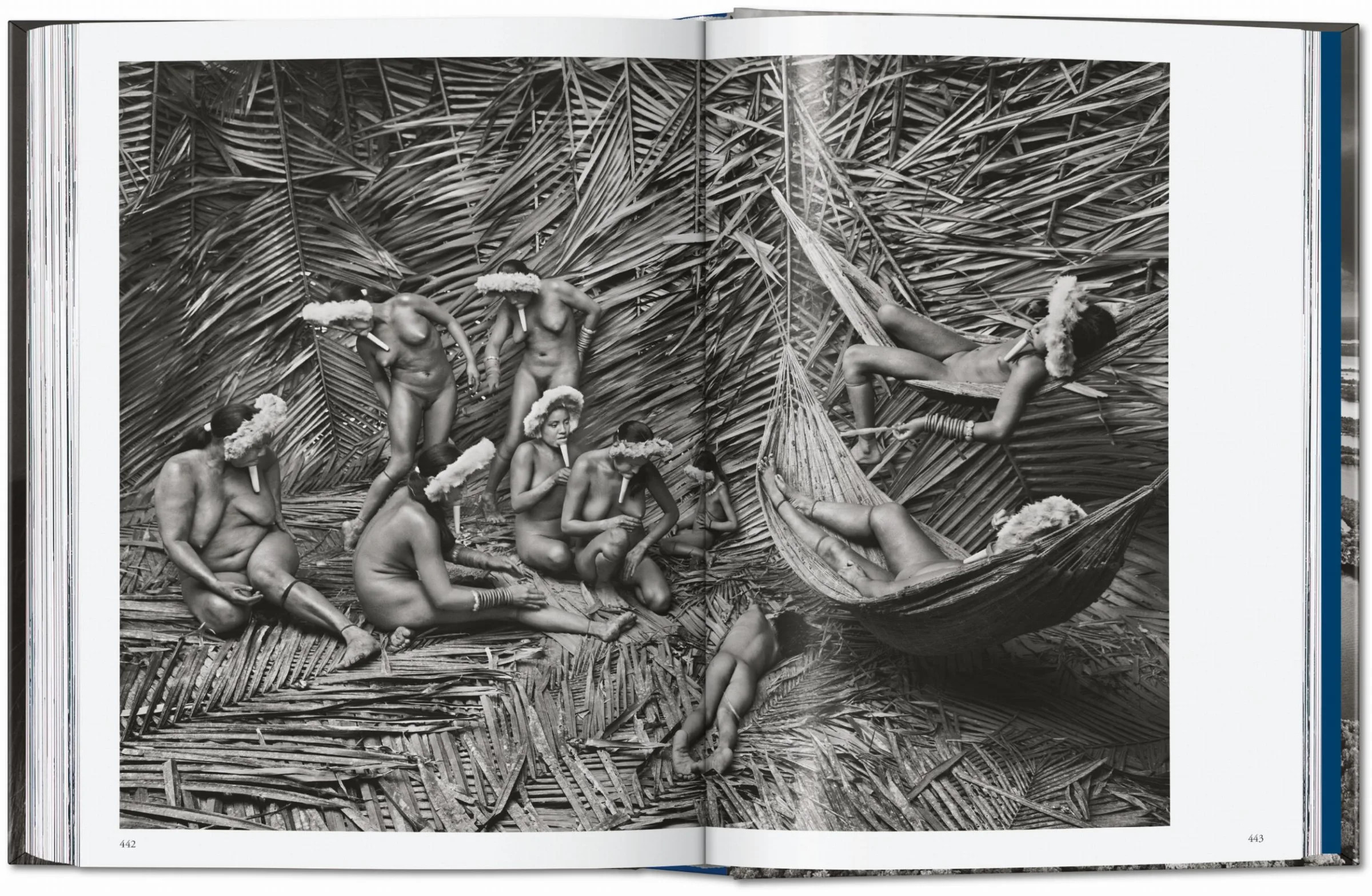 Sebastião Salgado - Amazônia ( Imagem 5 de 5 ) - Preview