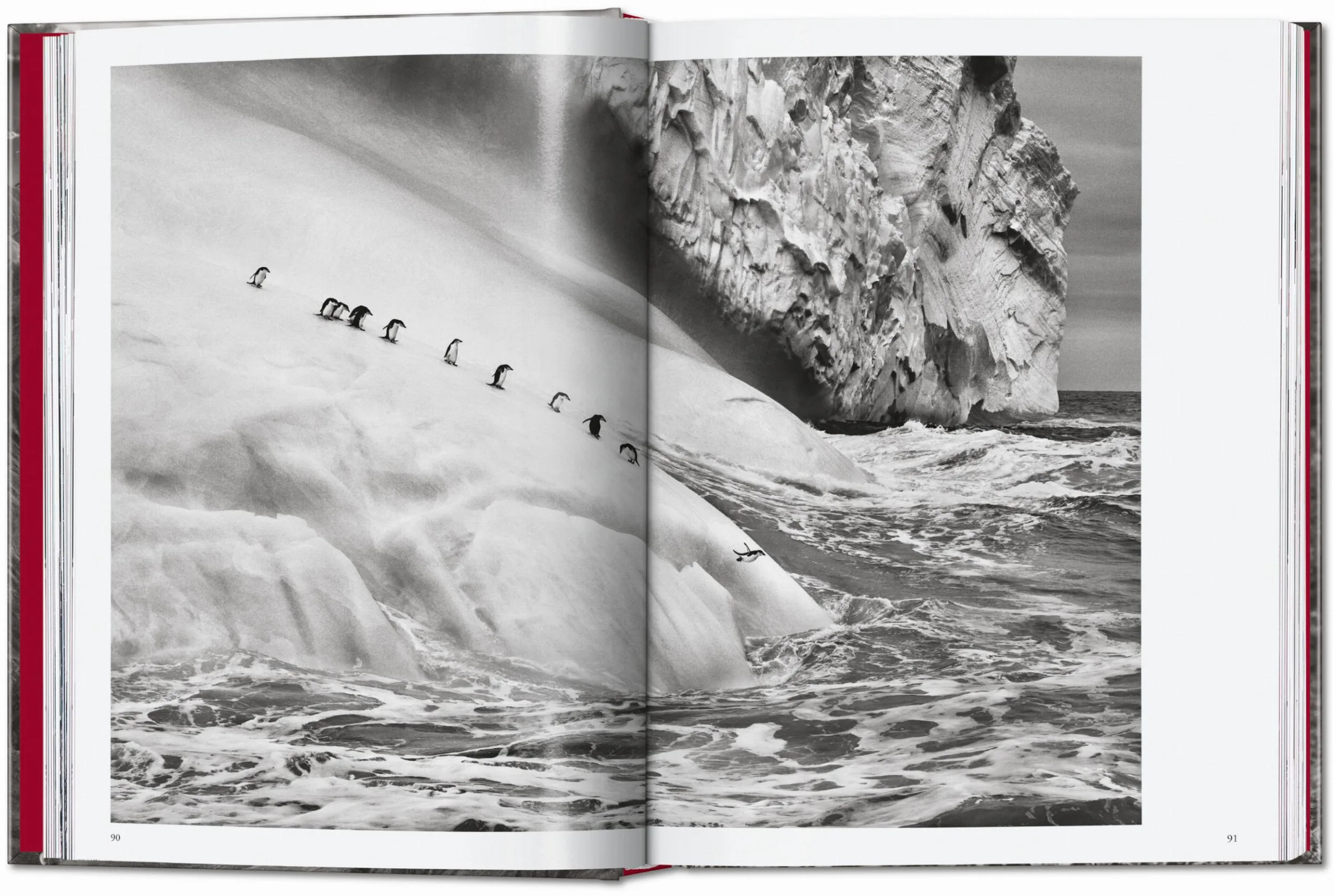 Sebastião Salgado - Genesis ( Imagem 3 de 5 ) - Preview