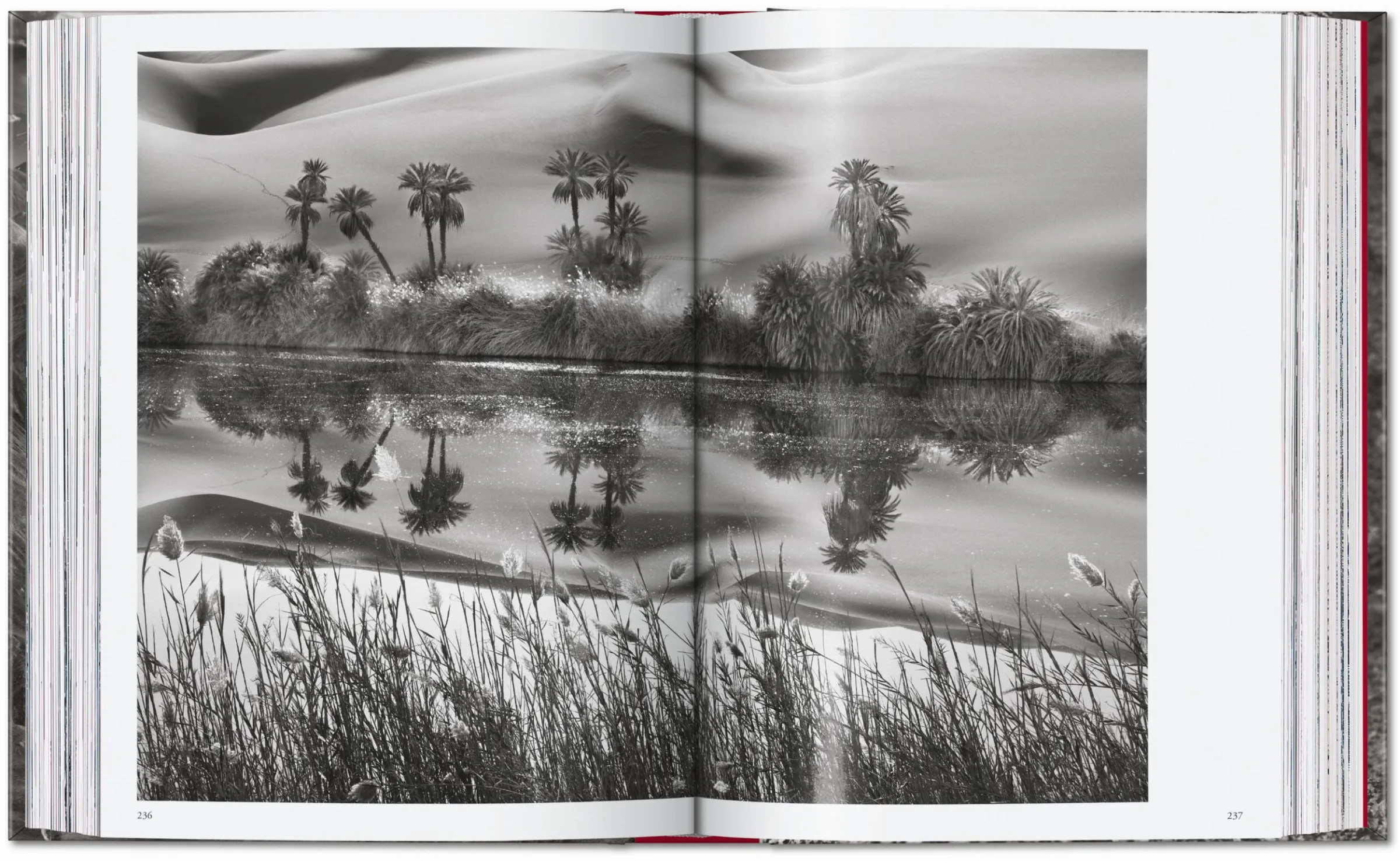 Sebastião Salgado - Genesis ( Imagem 4 de 5 ) - Preview