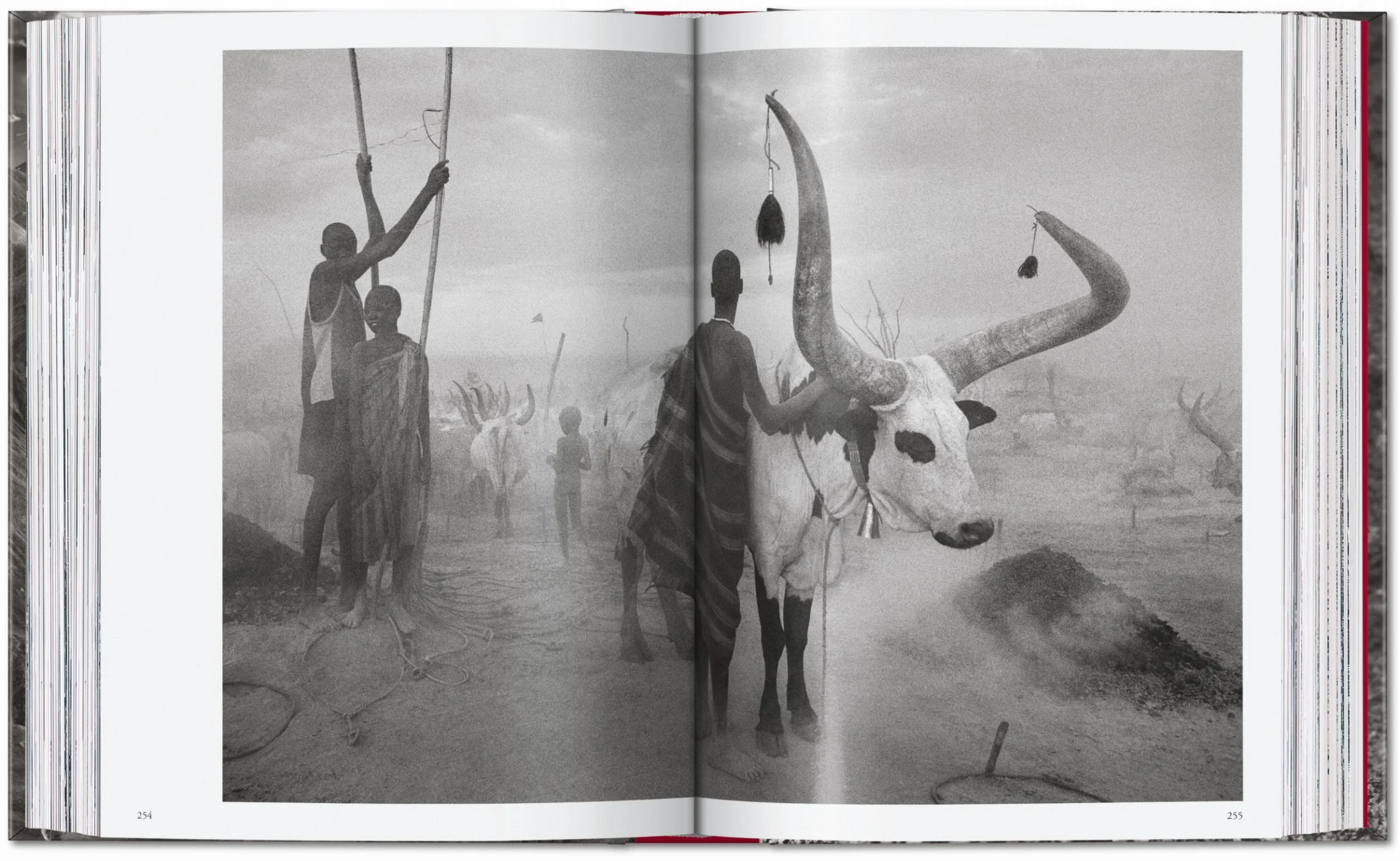 Sebastião Salgado - Genesis ( Imagem 5 de 5 ) - Preview