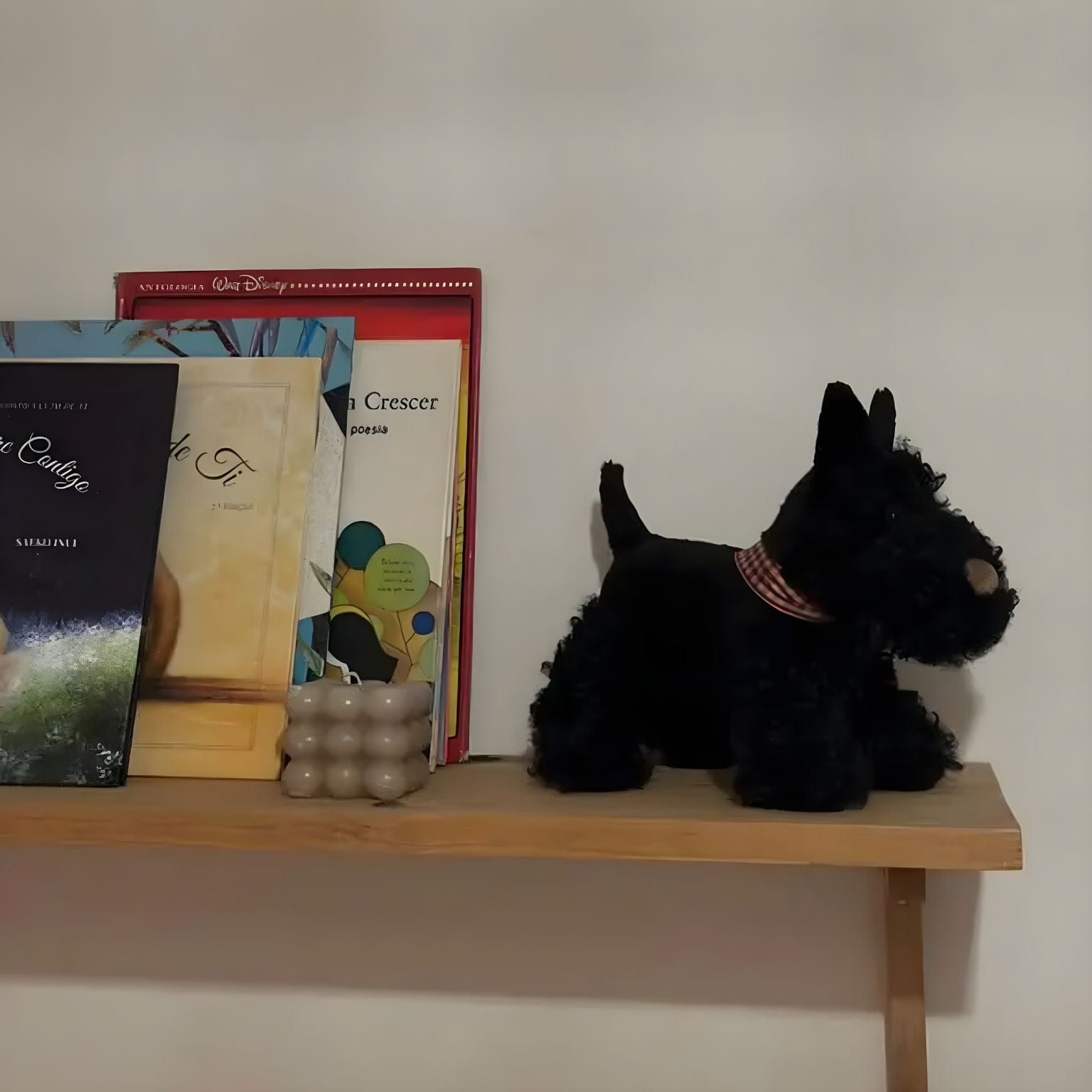 Cão de peluche - Walter ( Imagem 4 de 4 ) - Preview