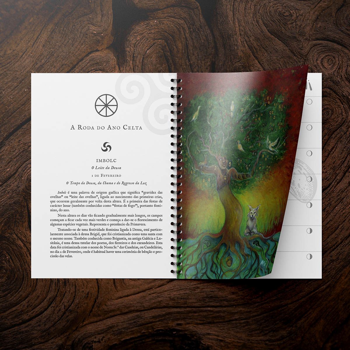 Drusuna - Agenda Druídica 2026 ( Imagem 4 de 4 ) - Preview