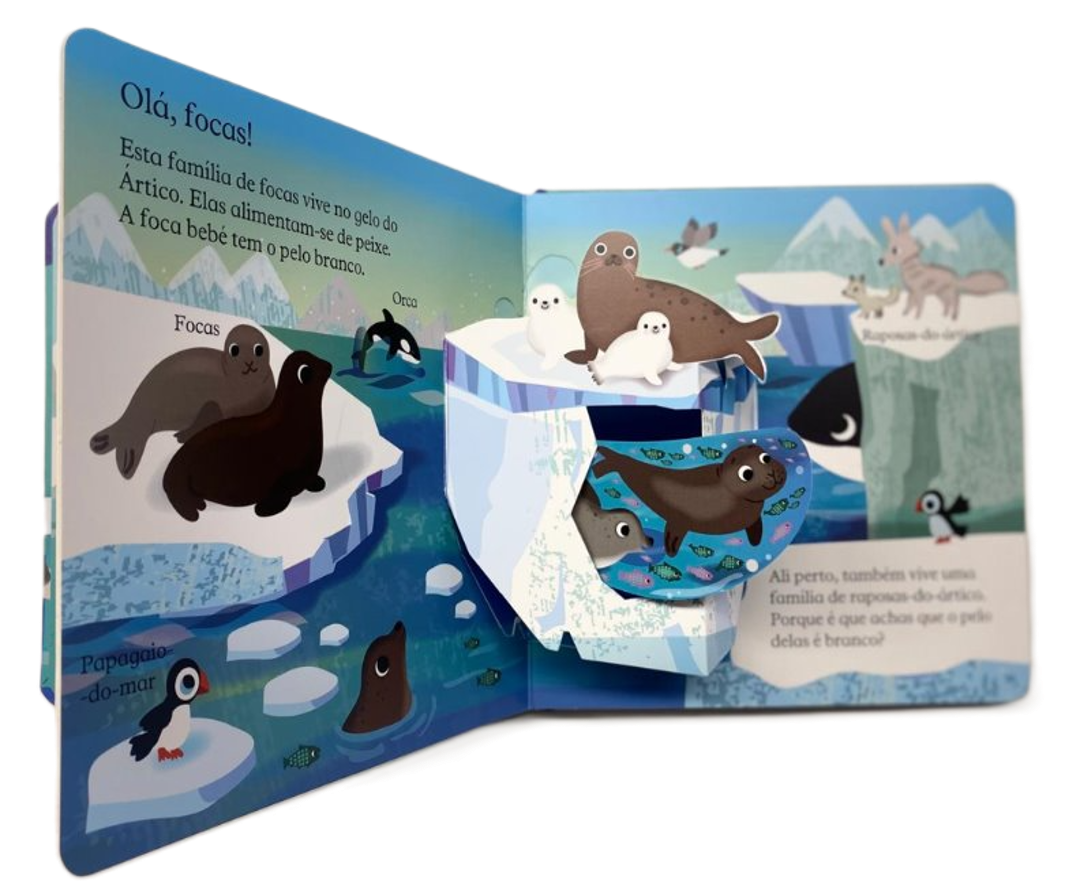 Espreita e Descobre ( Imagem 2 de 2 ) - Preview