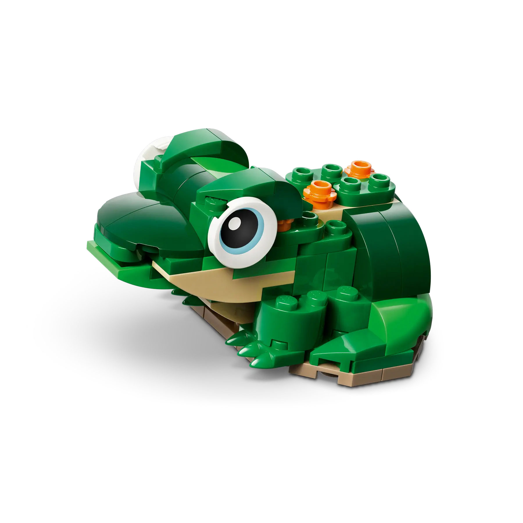 Lego Creator 3-In-1 Tartaruga Com Nenufar 31377 ( Imagem 4 de 4 ) - Preview