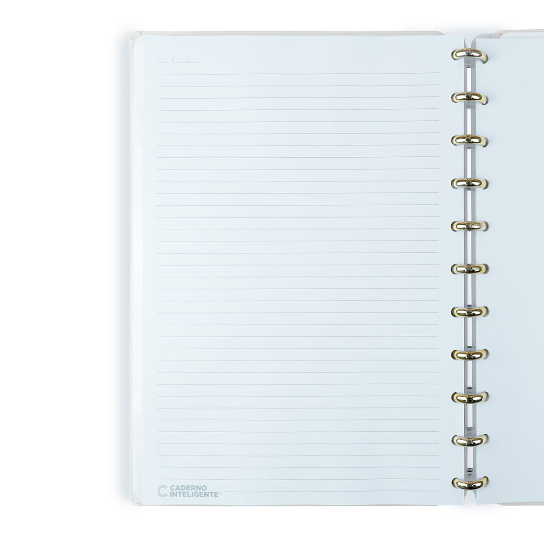 Caderno Inteligente Grande (215X280Mm) Pautado Purple Key By Isabela Akkari Cigd4367 ( Imagem 3 de 4 ) - Preview