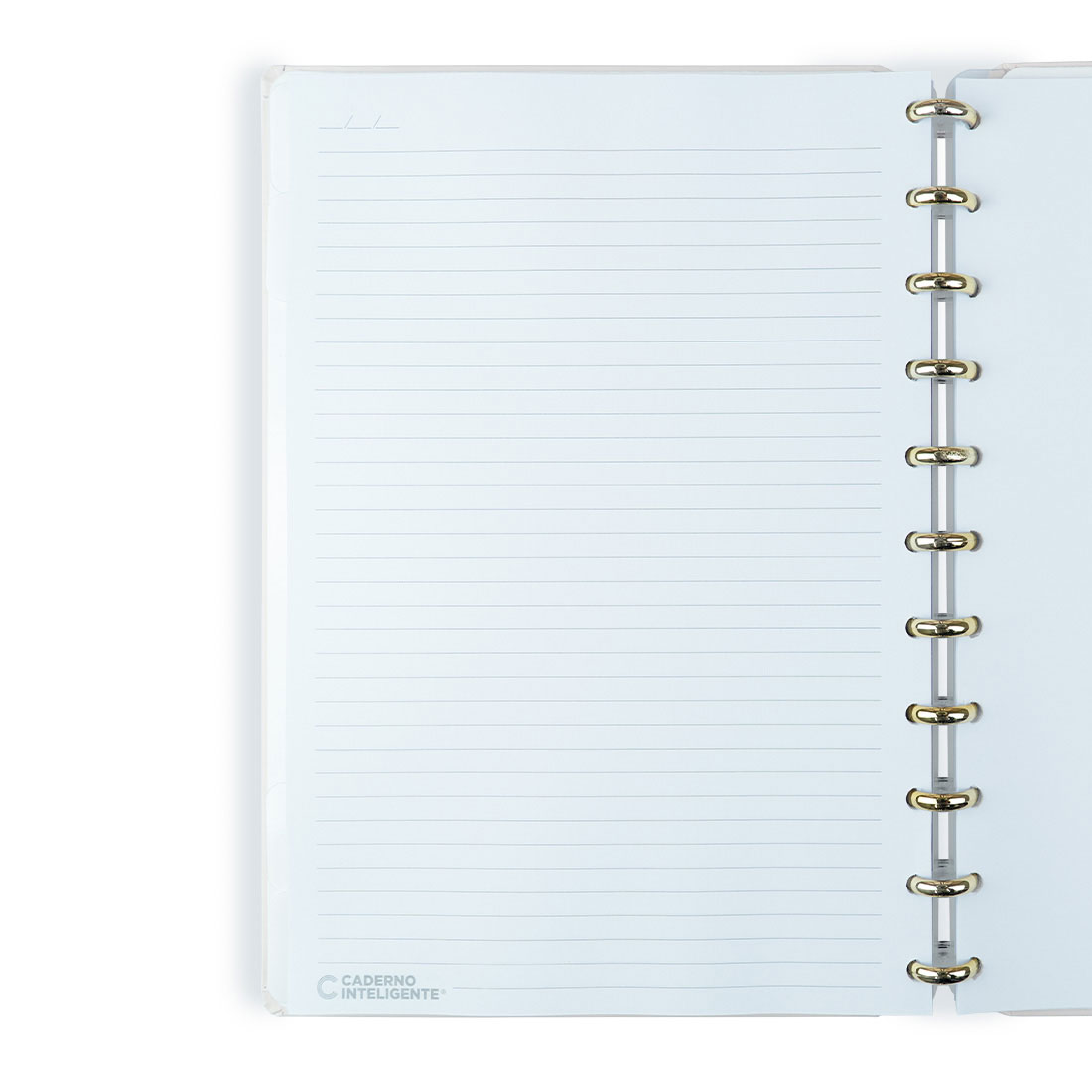 Caderno Inteligente Grande (215X280Mm) Pautado Rose Key By Isabela Akkari Cigd4366 ( Imagem 3 de 4 ) - Preview