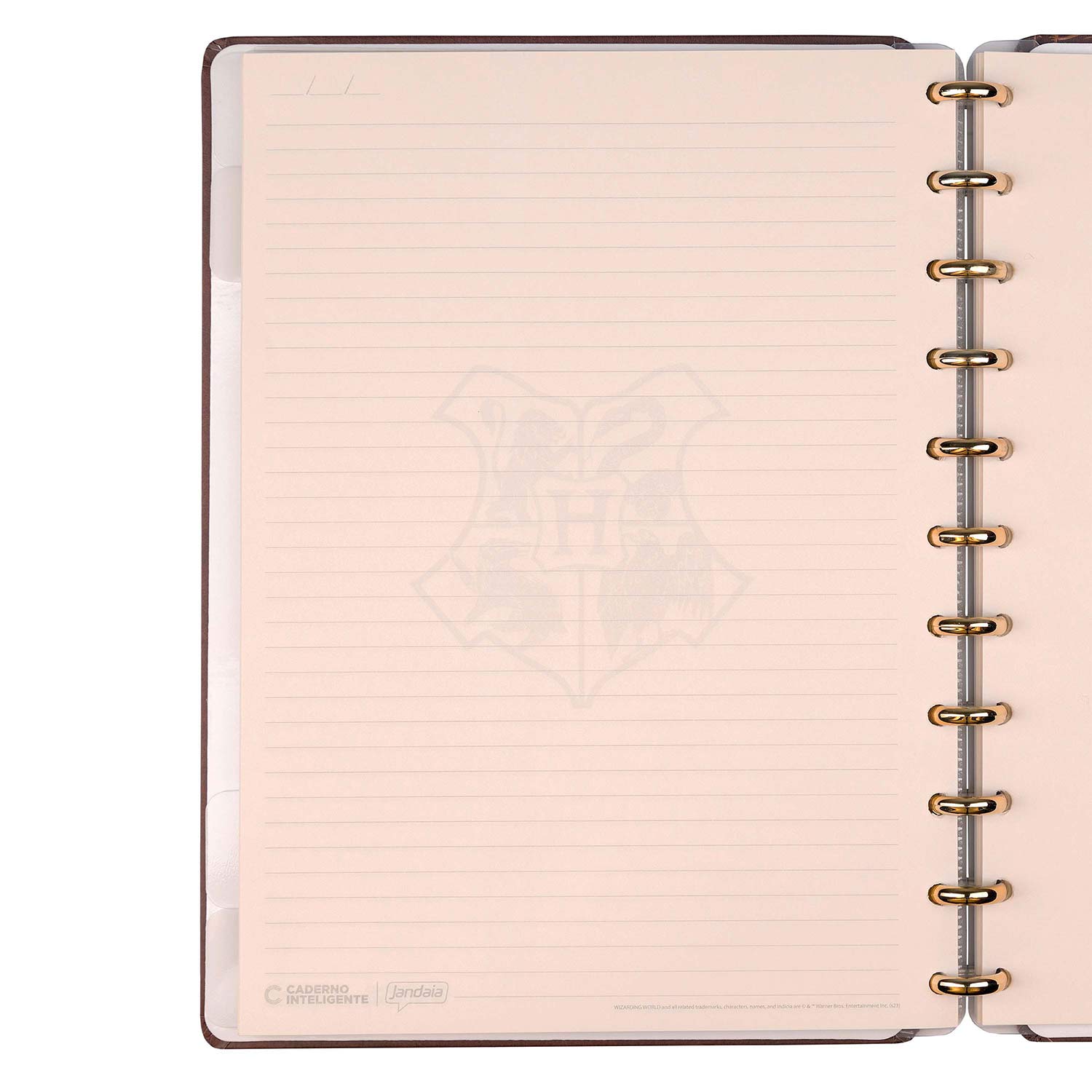 Caderno Inteligente Grande (215X280Mm) Pautado Harry Potter Sorting Hat ( Imagem 2 de 4 ) - Preview