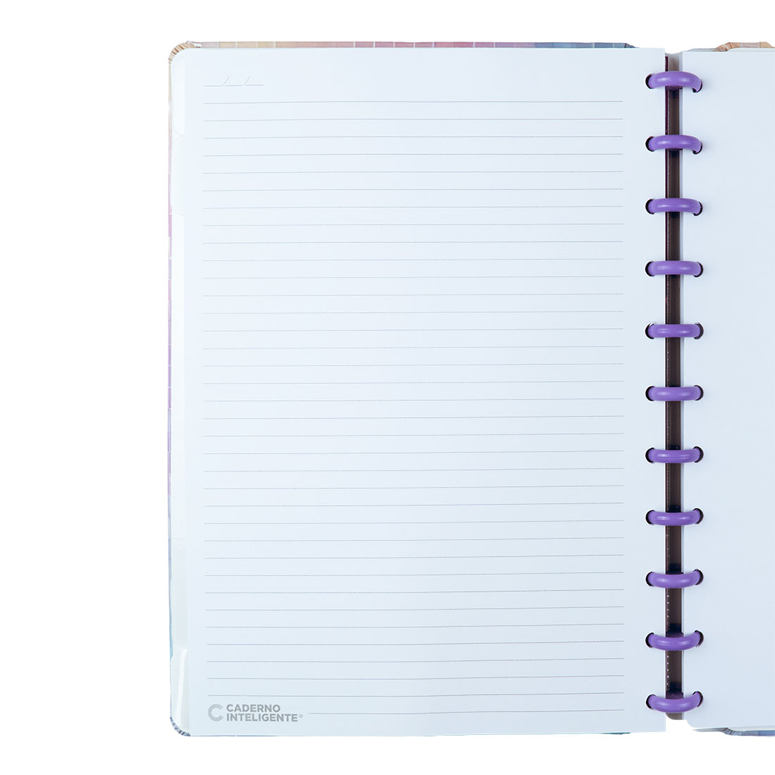 Caderno Inteligente Grande (215X280Mm) Pautado Sparkle Cigd4392 ( Imagem 2 de 4 ) - Preview