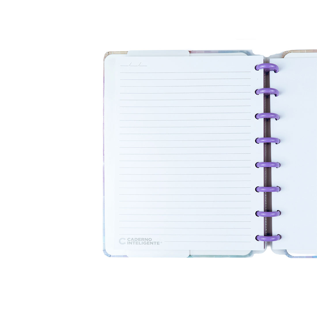 Caderno Inteligente A5 Pautado Sparkle Cia52392 ( Imagem 2 de 4 ) - Preview