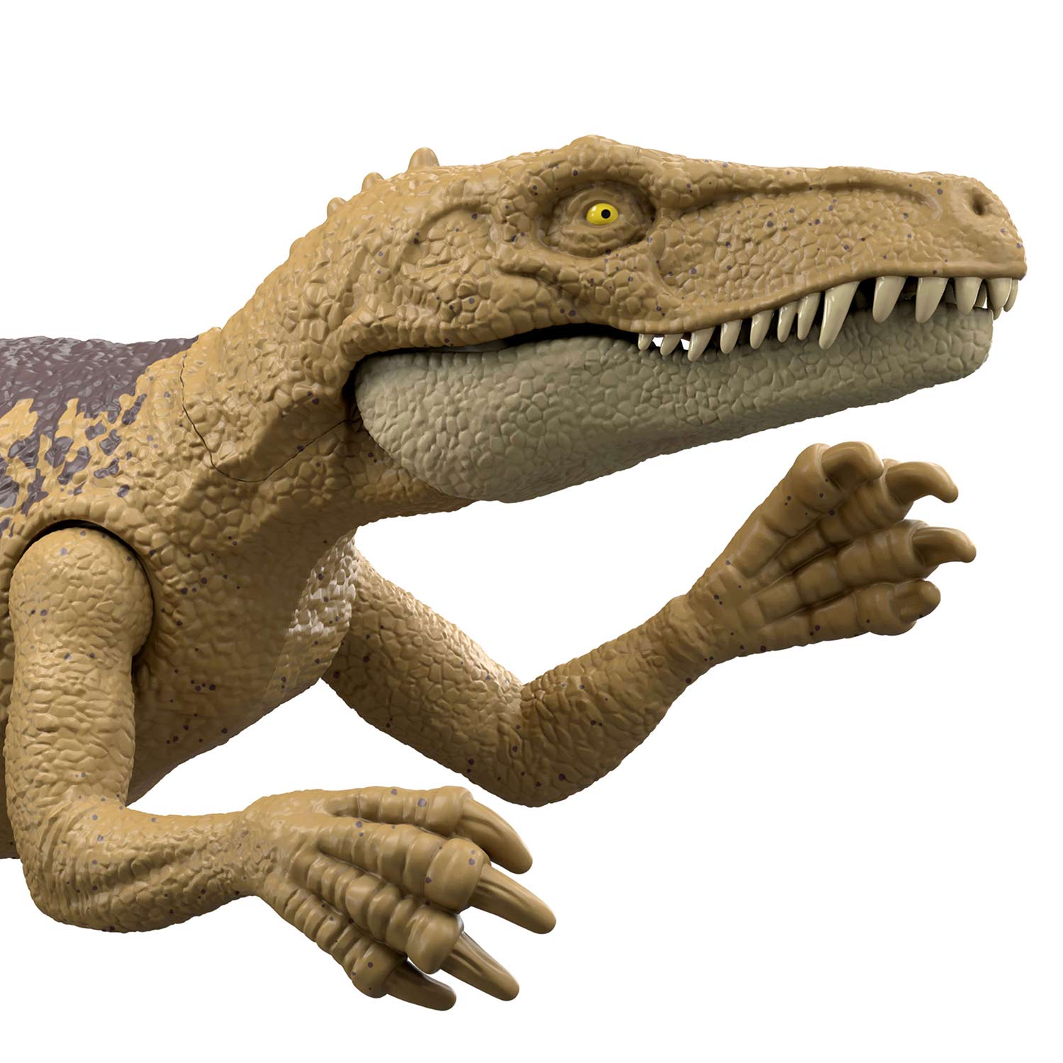Jurassic World Ataque Feroz Herrerasaurus 18Cm Mattel Jgb81/Jgb77 ( Imagem 3 de 4 ) - Preview