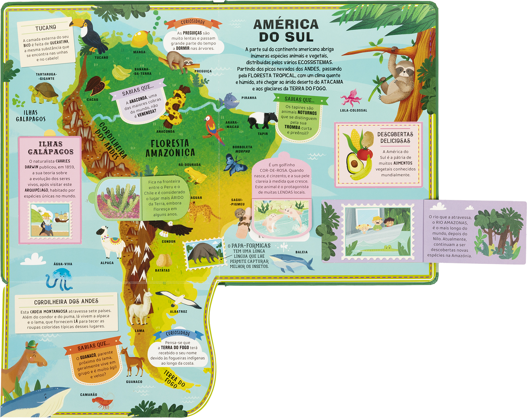 Atlas dos Animais ( Imagem 2 de 2 ) - Preview