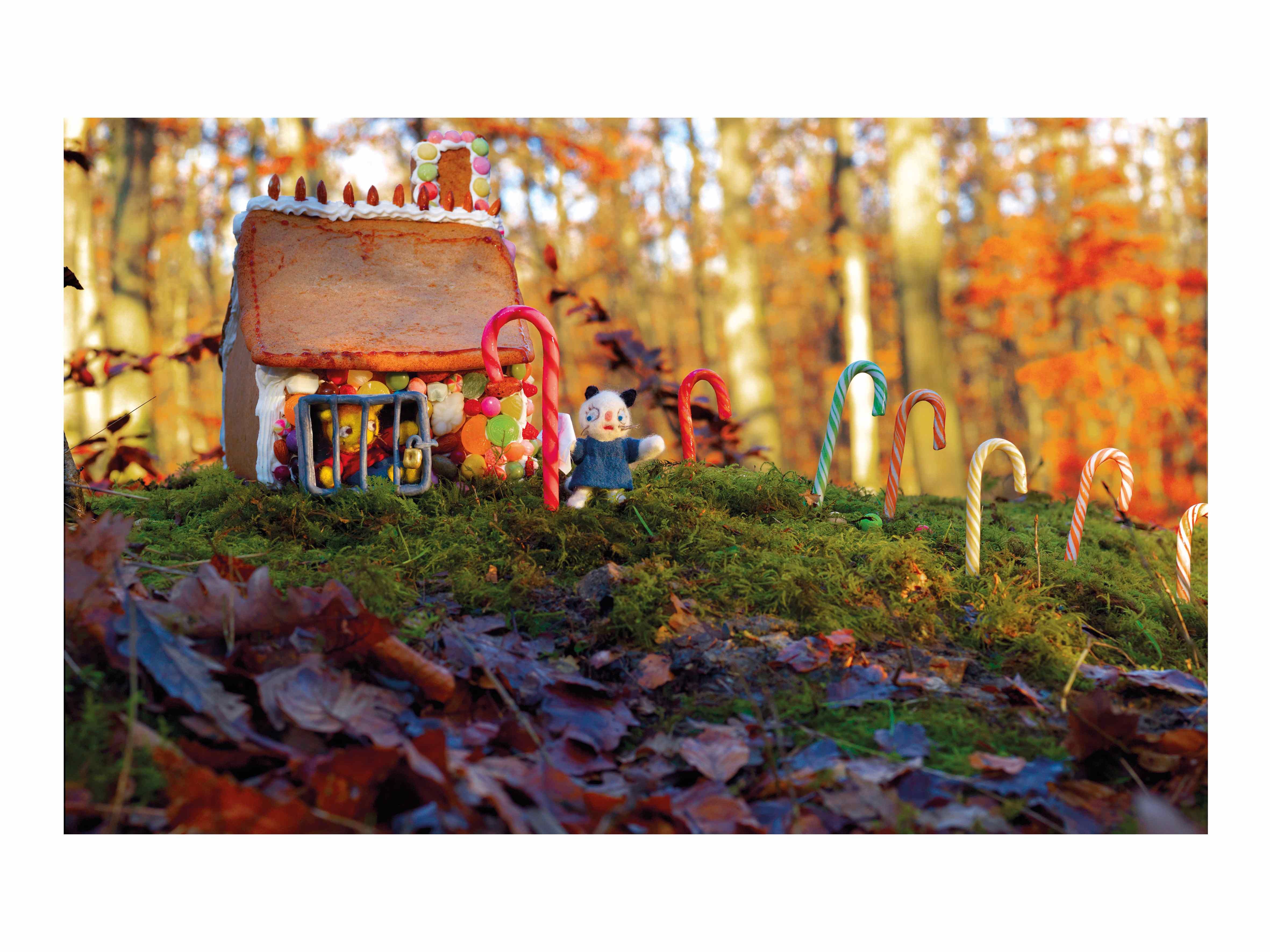 Hansel e Gretel ( Imagem 3 de 3 ) - Preview